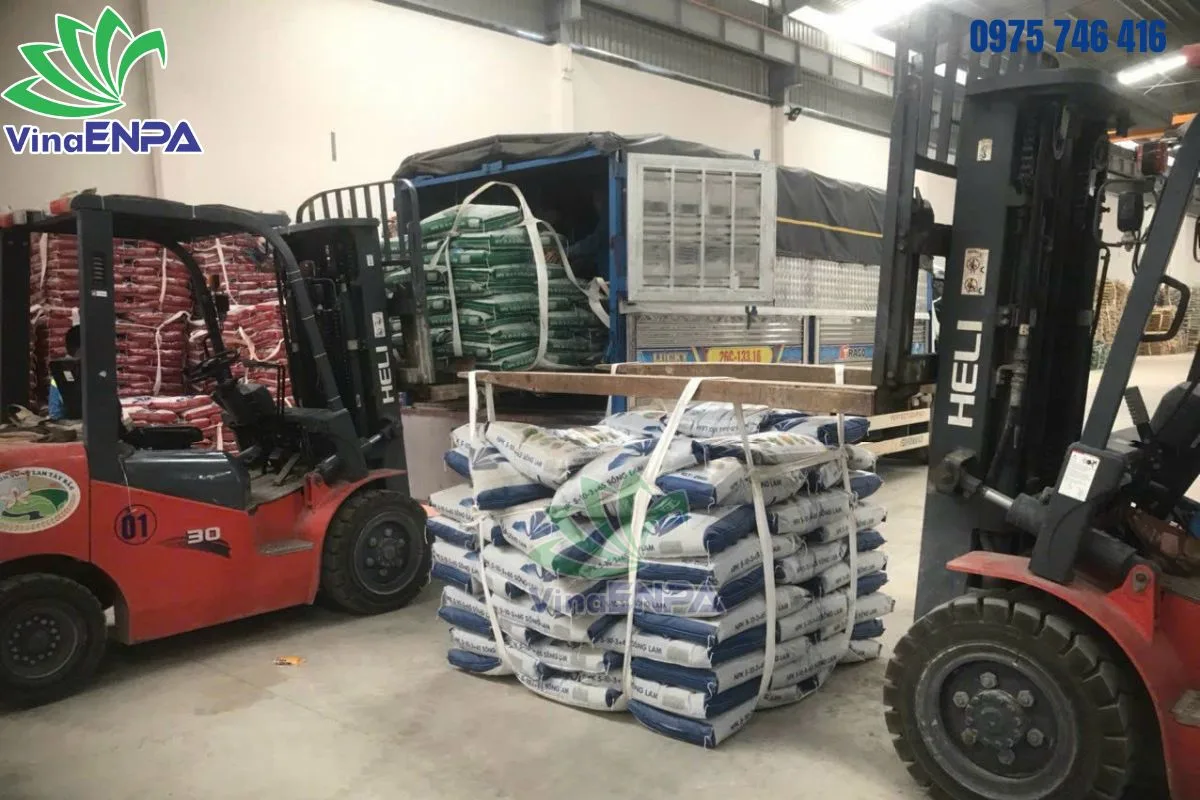 Bao sling sử dụng trong đóng hàng lên xe tải hoặc container