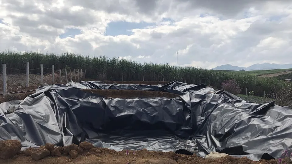 Bạt HDPE / Nhựa VinaENPA