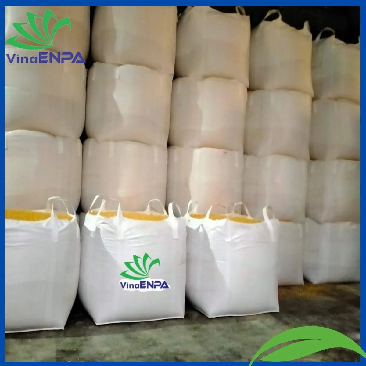 Bao Jumbo VinaENPA