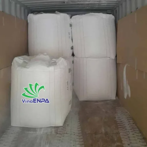 bao giá bao jumbo mới nhất